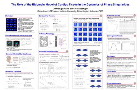 The Role of the Bidomain Model of Cardiac Tissue in the Dynamics of Phase Singularities Jianfeng Lv and Sima Setayeshgar Department of Physics, Indiana.