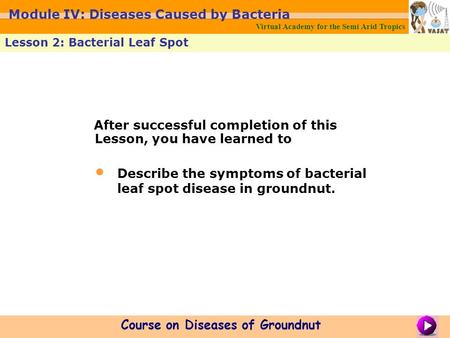 After successful completion of this Lesson, you have learned to Describe the symptoms of bacterial leaf spot disease in groundnut. Virtual Academy for.