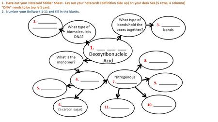 1. ___ ___ ___ Deoxyribonucleic Acid What type of biomolecule is DNA? What is the monomer? What type of bonds hold the bases together? 2. _________ ____________.