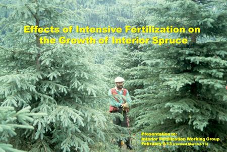 Effects of Intensive Fertilization on the Growth of Interior Spruce Presentation to: Interior Fertilization Working Group February 5/13 (revised March.