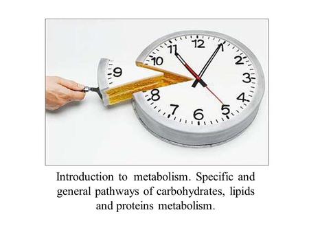 Introduction to metabolism. Specific and general pathways of carbohydrates, lipids and proteins metabolism.