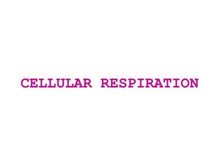 CELLULAR RESPIRATION.