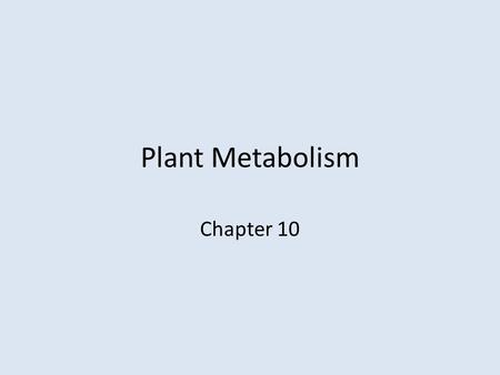 Plant Metabolism Chapter 10. Outline  Introduction  Enzymes and Energy Transfer  Photosynthesis  Respiration  Additional Metabolic Pathways  Assimilation.