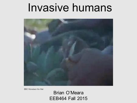 Invasive humans Brian O’Meara EEB464 Fall 2015 BBC Monsters We Met.