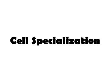 Cell Specialization.