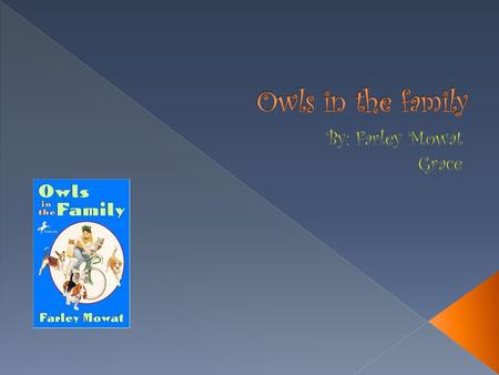 One sunny day in Saskatoon, Saskatchewan, two boys named Bruce and Billy go out to find an owl egg to raise. Bruce climbs up a tree and puts the eggs.