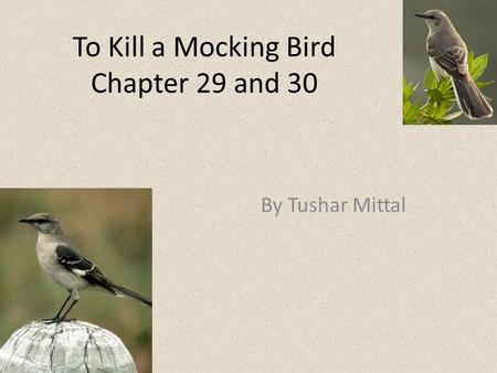 To Kill a Mocking Bird Chapter 29 and 30 By Tushar Mittal.