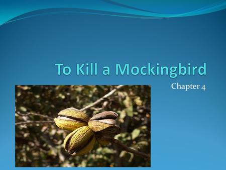 Chapter 4. Leading Questions Who is Boo Radley? What were the gifts in the tree? How is Scout changing?