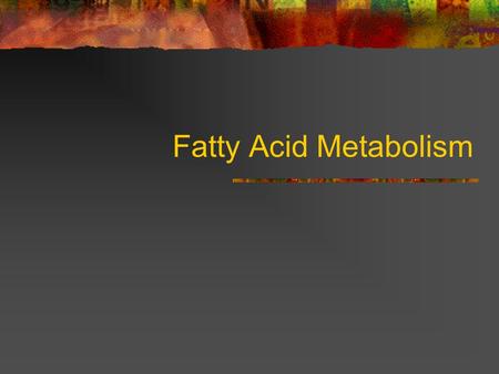 Fatty Acid Metabolism. Why are fatty acids important to cells? fuel molecules stored as triacylglycerols building blocks phospholipids glycolipids precursors.