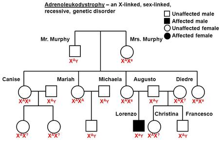 Adrenoleukodystrophy – an X-linked, sex-linked,