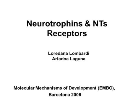 Neurotrophins & NTs Receptors Loredana Lombardi Ariadna Laguna Molecular Mechanisms of Development (EMBO), Barcelona 2006.