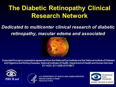 The Diabetic Retinopathy Clinical Research Network