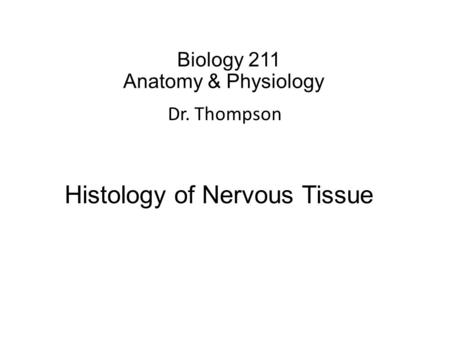 Biology 211 Anatomy & Physiology I