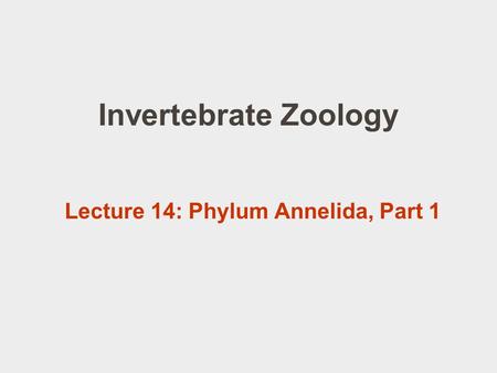 Invertebrate Zoology Lecture 14: Phylum Annelida, Part 1.