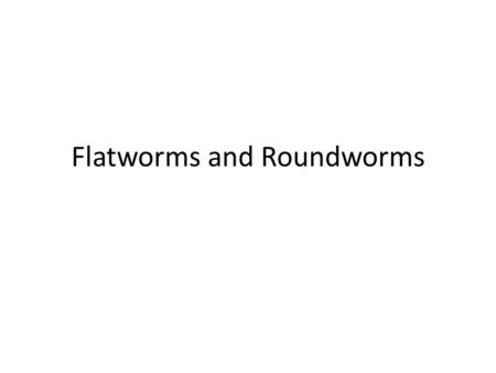 Flatworms and Roundworms. ANCESTRAL PROTIST Porifera Ctenophora Cnidaria Acoela True Tissues Metazoa Eumetazoa Bilateria Hemichordata Echinodermata Chordata.