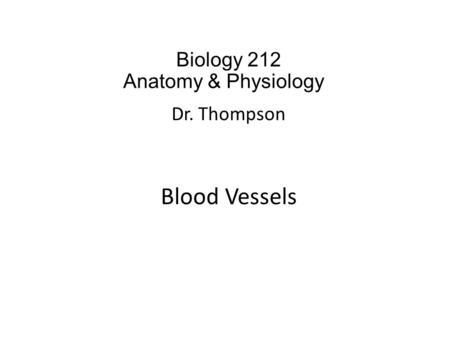 Biology 212 Anatomy & Physiology I Dr. Thompson Blood Vessels.