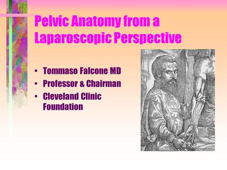 Pelvic Anatomy from a Laparoscopic Perspective Tommaso Falcone MD Professor & Chairman Cleveland Clinic Foundation.