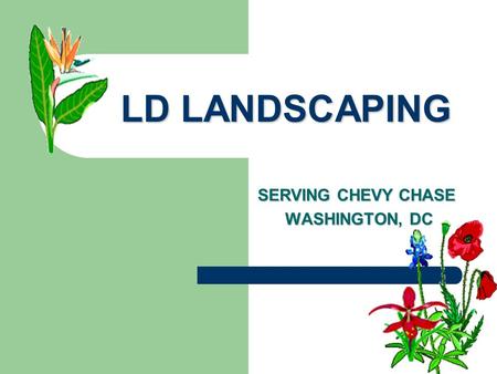 LD LANDSCAPING SERVING CHEVY CHASE WASHINGTON, DC WASHINGTON, DC.