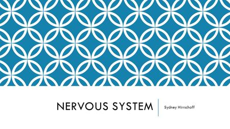 NERVOUS SYSTEM Sydney Hirrschoff. NERVOUS SYSTEM FUNCTION The nervous system is made up of the brain, spinal cord, sensory organs, and all of the nerves.