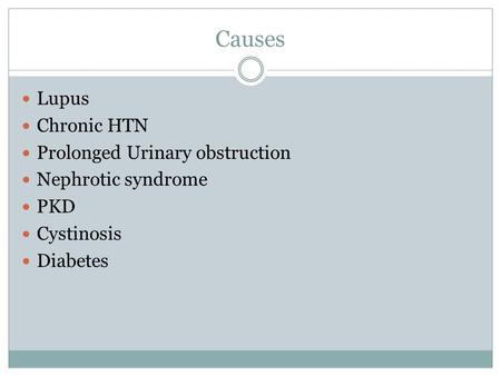 Causes Lupus Chronic HTN Prolonged Urinary obstruction Nephrotic syndrome PKD Cystinosis Diabetes.