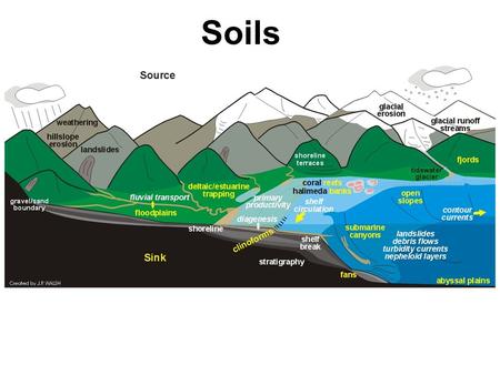 Soils. We know more about the movement of celestial bodies than about the soil underfoot. - Leonardo da Vinci.