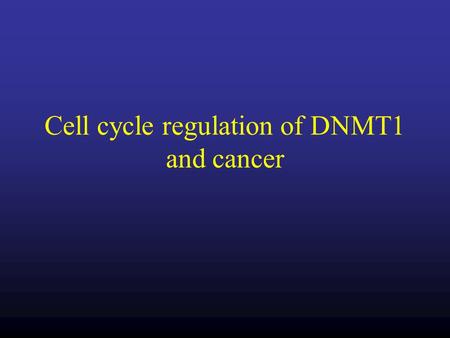 Cell cycle regulation of DNMT1 and cancer. M M M M M M M M DNMT1 M M M M M M M M G0/G1SG2M DNMT1 transcription Enzymatic activity Steady state mRNA The.