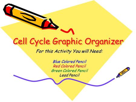 Cell Cycle Graphic Organizer