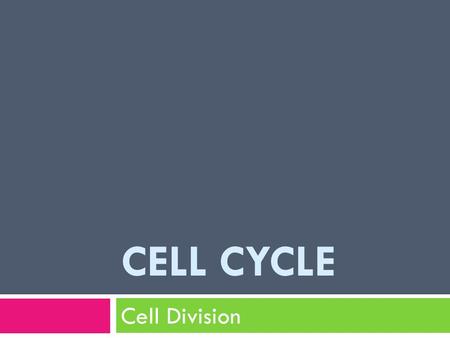 Cell Cycle Cell Division.