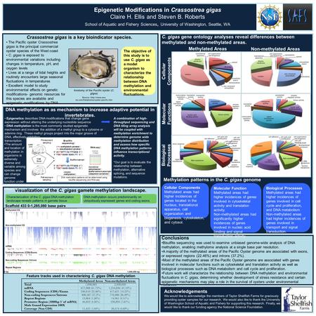 Epigenetic Modifications in Crassostrea gigas Claire H. Ellis and Steven B. Roberts School of Aquatic and Fishery Sciences, University of Washington, Seattle,