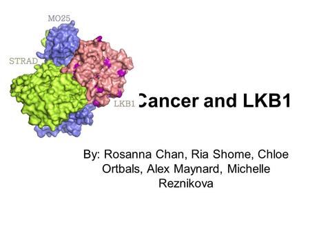 Cancer and LKB1 By: Rosanna Chan, Ria Shome, Chloe Ortbals, Alex Maynard, Michelle Reznikova.