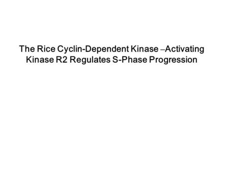 The Rice Cyclin-Dependent Kinase – Activating Kinase R2 Regulates S-Phase Progression.