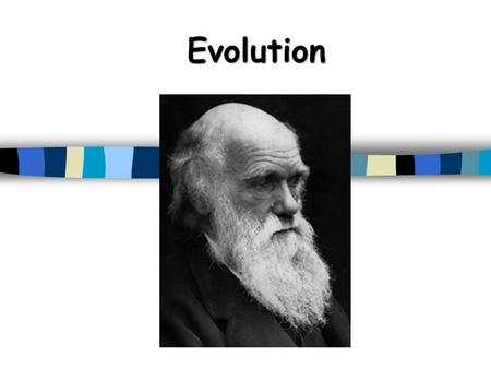 Evolution. The Selfish Gene by Richard Dawkins What did you think of the reading? Answer the questions in class… How can we make connections between this.