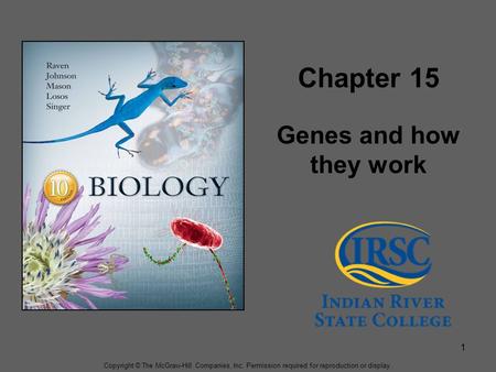 Copyright © The McGraw-Hill Companies, Inc. Permission required for reproduction or display. 1 Chapter 15 Genes and how they work.