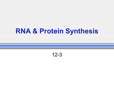 RNA & Protein Synthesis