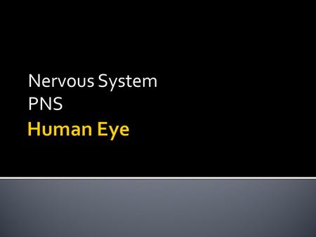 Nervous System PNS. Incredible Human Machine  SIGHT  https://www.youtube.com/watch?v=JddHE5l0y68 https://www.youtube.com/watch?v=JddHE5l0y68  HEARING.