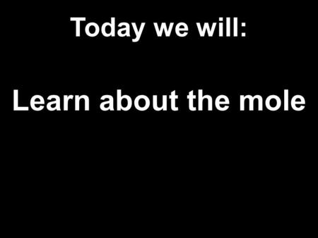 Today we will: Learn about the mole. Today we will: