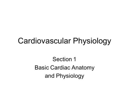 Cardiovascular Physiology