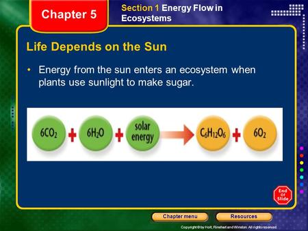 Copyright © by Holt, Rinehart and Winston. All rights reserved. ResourcesChapter menu Life Depends on the Sun Energy from the sun enters an ecosystem when.