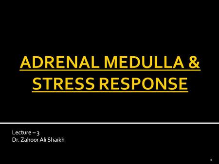 ADRENAL MEDULLA & STRESS RESPONSE