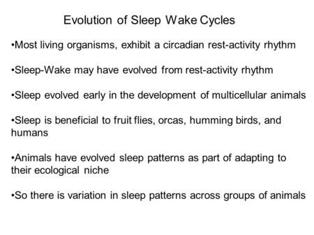 Evolution of Sleep Wake Cycles