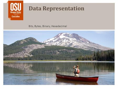 Data Representation Bits, Bytes, Binary, Hexadecimal.