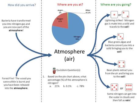 Atmosphere (air) Bacteria have transformed you into nitrogen gas and you are now part of the atmosphere! Forest Fire! The wood you were within is burnt.