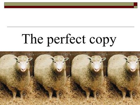 The perfect copy Title understanding Title understanding What does the word copy mean? A. model B. clone C. similarity D. imitation ___ pigs cloned.