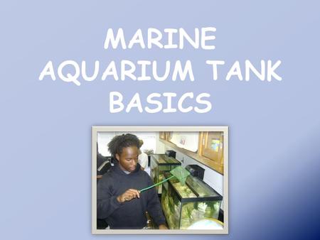 MARINE AQUARIUM TANK BASICS