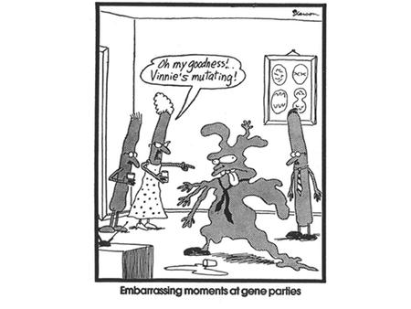 91. Cell Reproduction Notebook Check 92. Karyotype Lab (graded) 93. Intro to Genetics Reading Guide (stamped) 94. Genetics Notes 95. Punnett Squares 96.