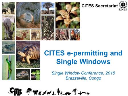 1 CITES e-permitting and Single Windows Single Window Conference, 2015 Brazzaville, Congo CITES Secretariat.