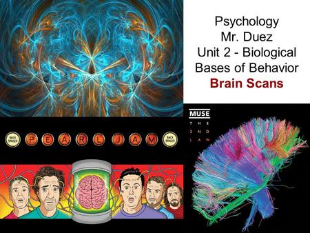 Psychology Mr. Duez Unit 2 - Biological Bases of Behavior Brain Scans.