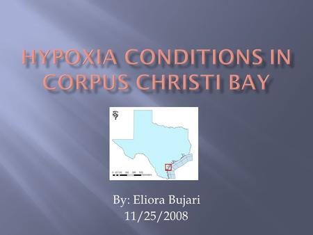 By: Eliora Bujari 11/25/2008. Located in Southern Texas Bend Separated from the Gulf of Mexico by Mustang and North Padre Islands. Freshwater inflows.