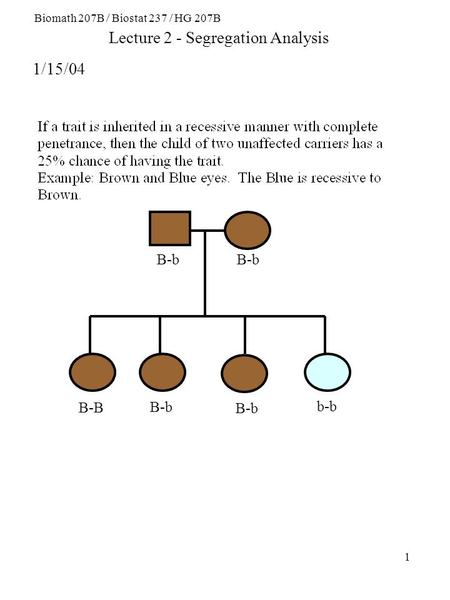 1 B-b B-B B-b b-b Lecture 2 - Segregation Analysis 1/15/04 Biomath 207B / Biostat 237 / HG 207B.