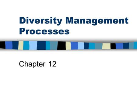 Diversity Management Processes Chapter 12.